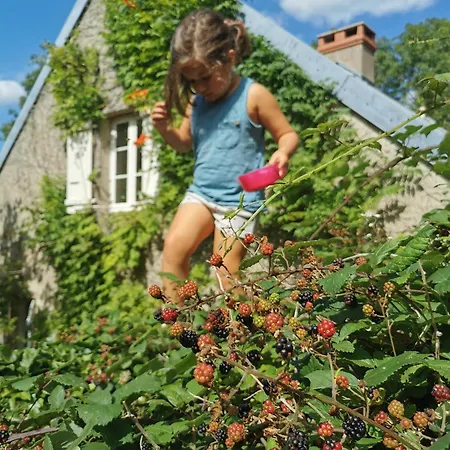 Ferienhaus Bourguignon, Repos Et Produits Fermiers