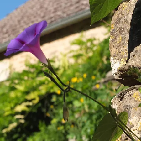 Сasa de vacaciones Bourguignon, Repos Et Produits Fermiers *